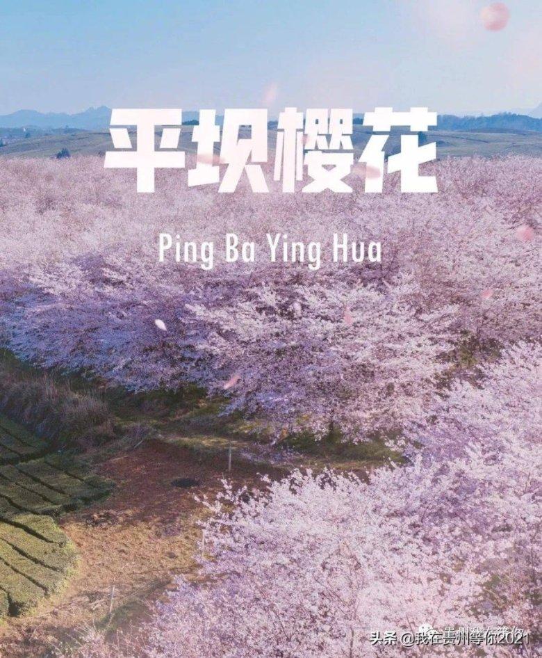 曾凡博邹雨宸入选全明星阵容
