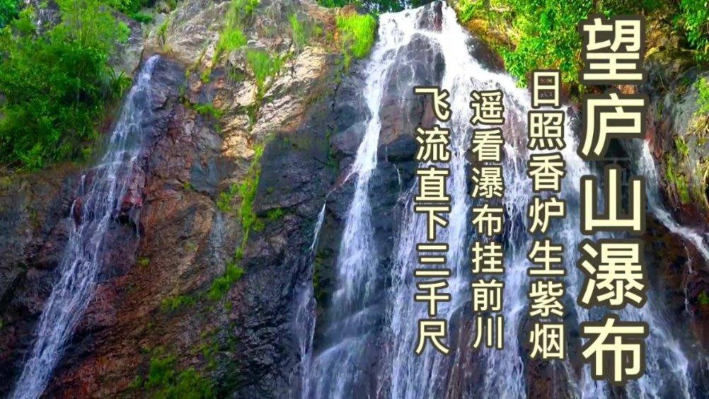 疯狂的小猫